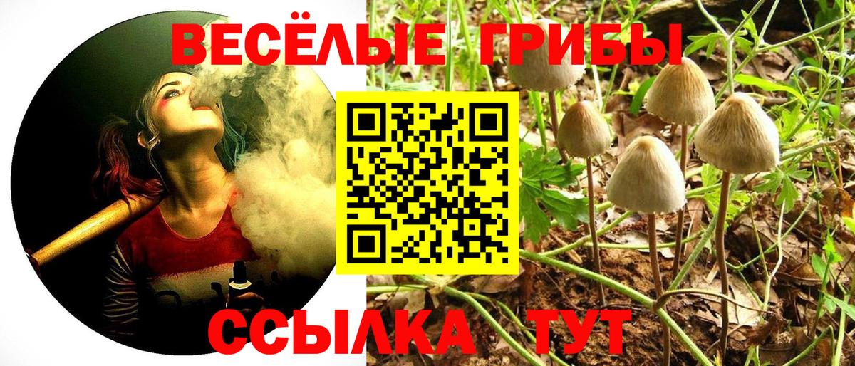 Псилоцибиновые грибы GOLDEN TEACHER Искитим