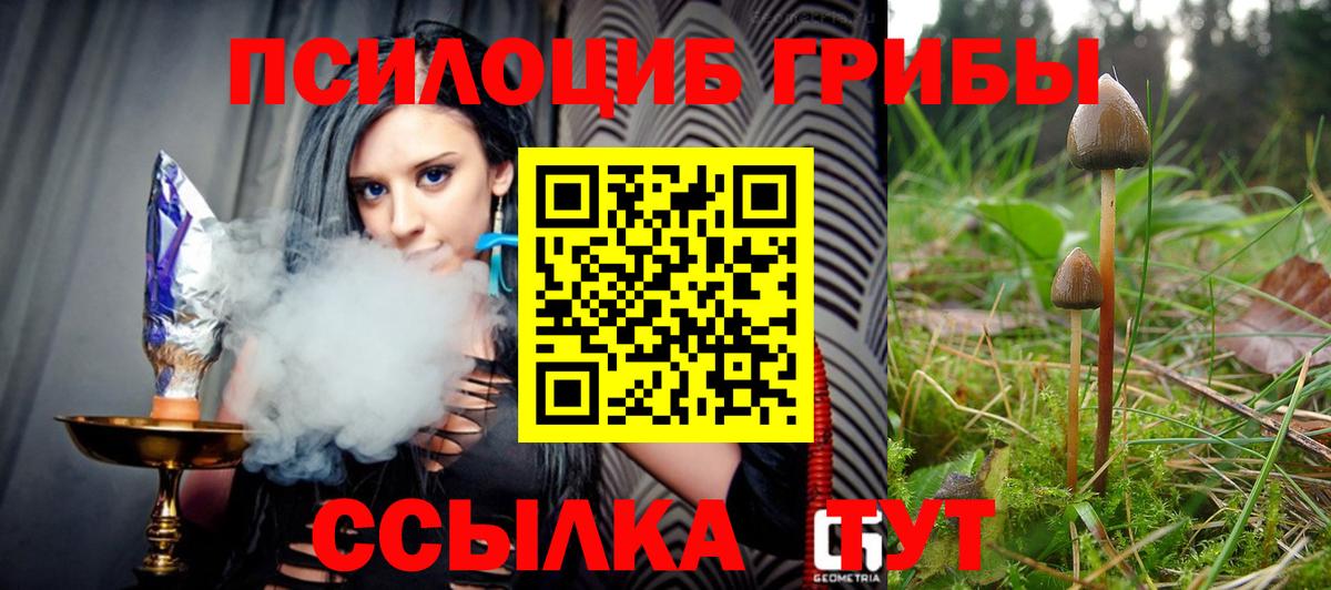 Искитим  купить наркоту  Вход с VPN  Галлюциногенные грибы мухоморы 